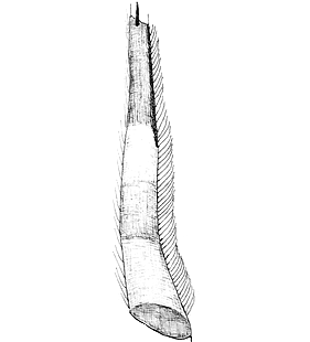 species
