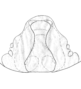 species