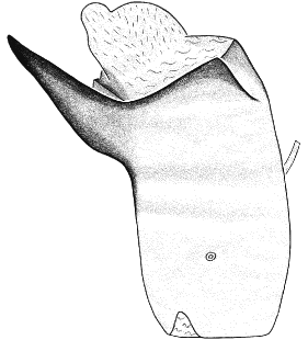 species