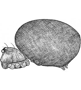species