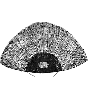 species
