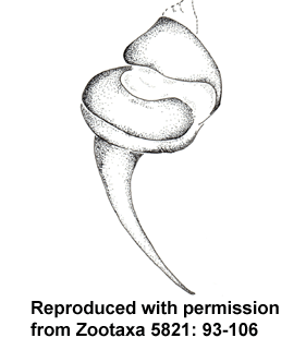 species