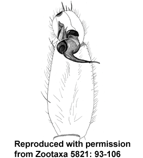species