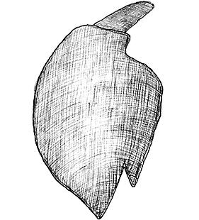 species