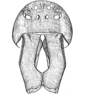species