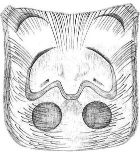 species
