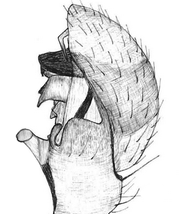 species