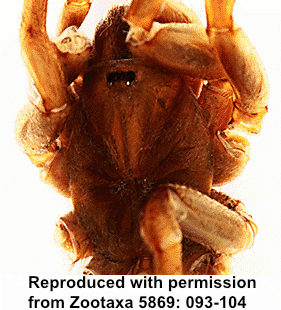 species