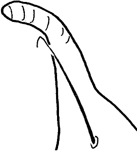 species