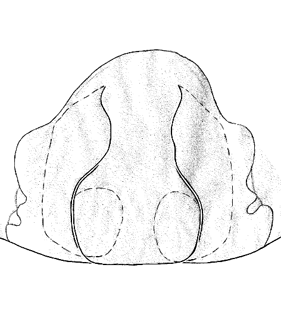 species