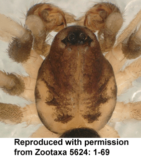 speciesimage