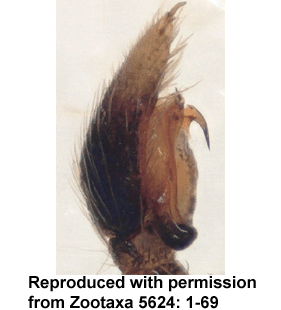 speciesimage