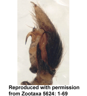 speciesimage