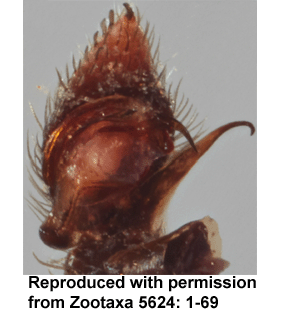 speciesimage