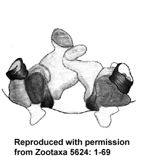 speciesimage