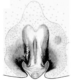 species