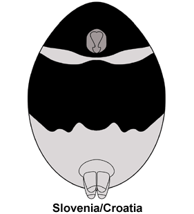 species