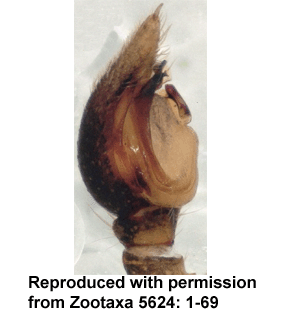 speciesimage