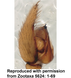 speciesimage