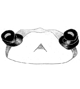 speciesimage