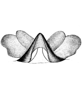 speciesimage