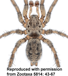 speciesimage