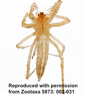 speciesimage