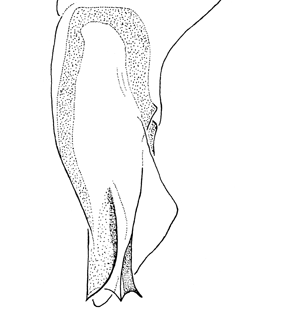 speciesimage