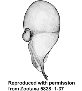 speciesimage