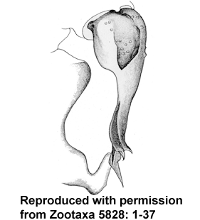 speciesimage