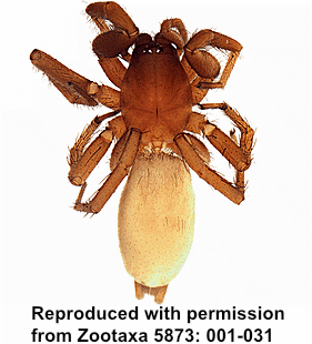 speciesimage