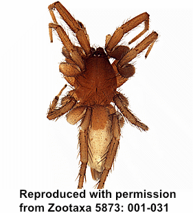 speciesimage