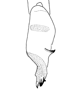 speciesimage