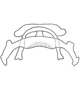 speciesimage