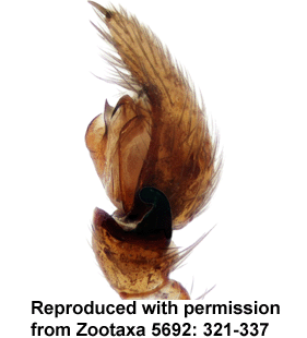 speciesimage
