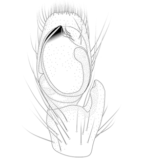speciesimage