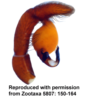 species