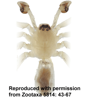 speciesimage
