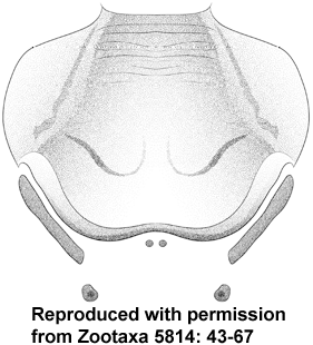 speciesimage