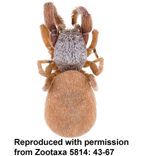 speciesimage