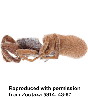 speciesimage