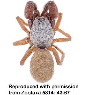 speciesimage