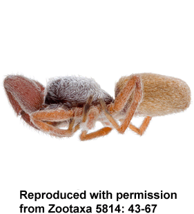 speciesimage