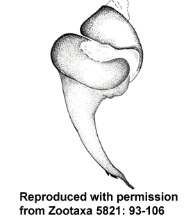 species