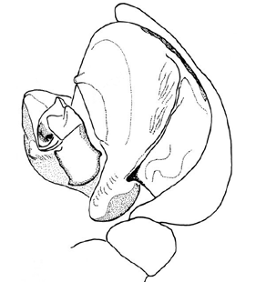speciesimage