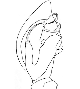 species