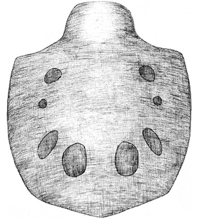 species