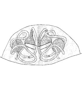 speciesimage