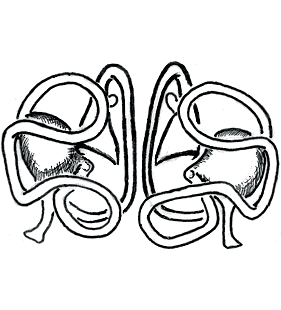 speciesimage