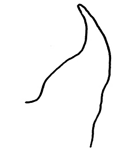 speciesimage